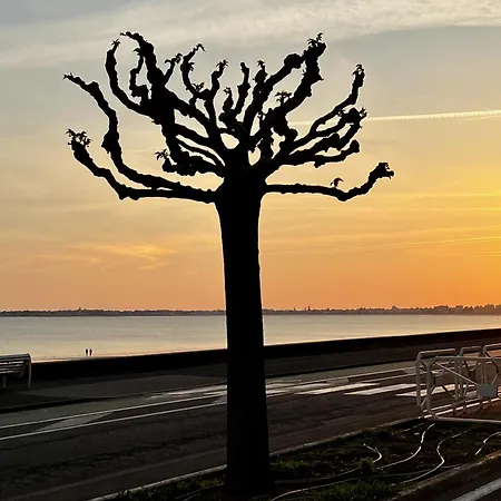 Maison De Famille Les Pins Vakantiehuis La Baule-Escoublac